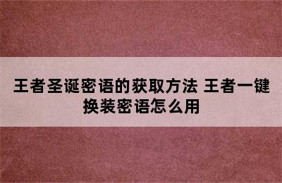 王者圣诞密语的获取方法 王者一键换装密语怎么用